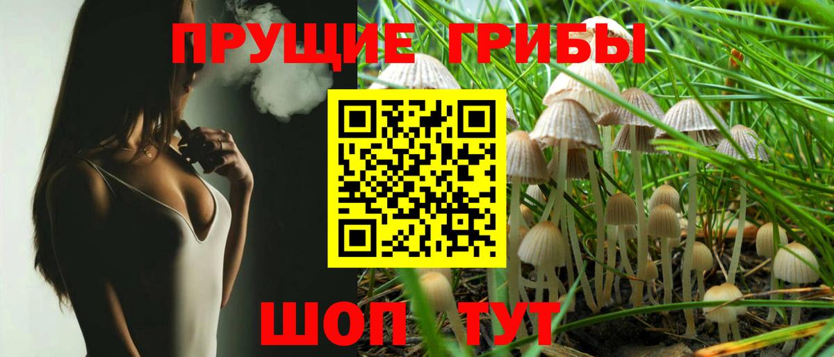 Кизилюрт  Галлюциногенные грибы прущие грибы  Вход с VPN 